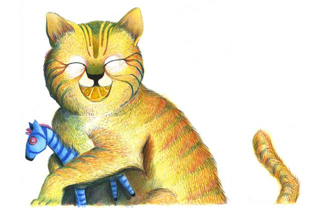 orange-cat-complete-l