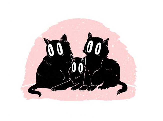 Cats_threesome_sml_