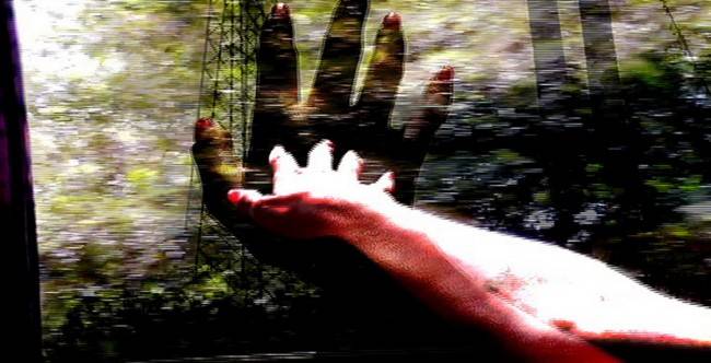 נועה בלרשטיין מתוך החממה לאמנות דיגיטלית במלון רויאל ביץ', אוצר שרון תובל