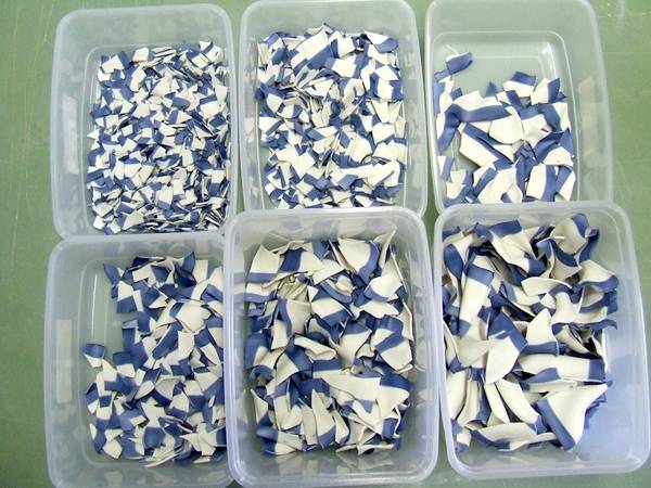 Zemer_Peled_11