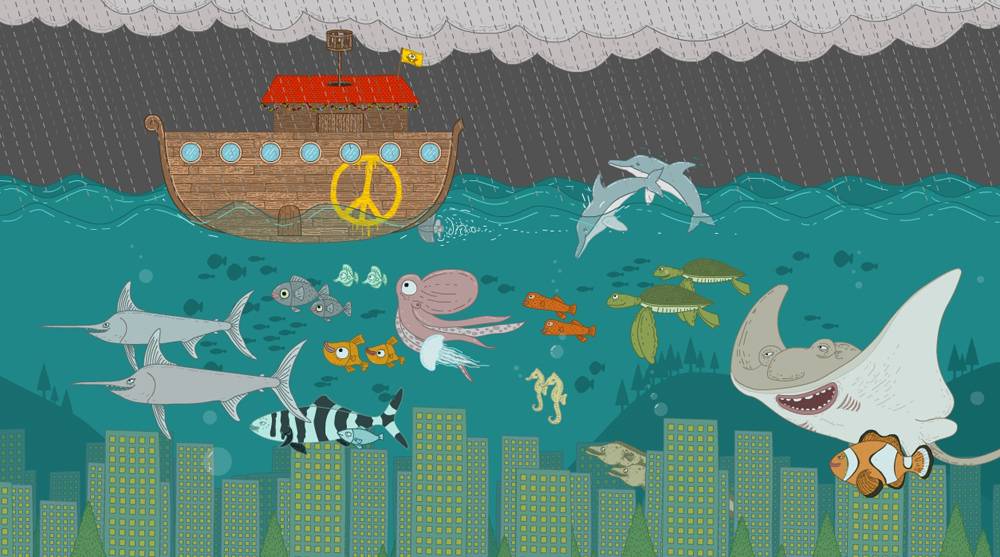 noah1