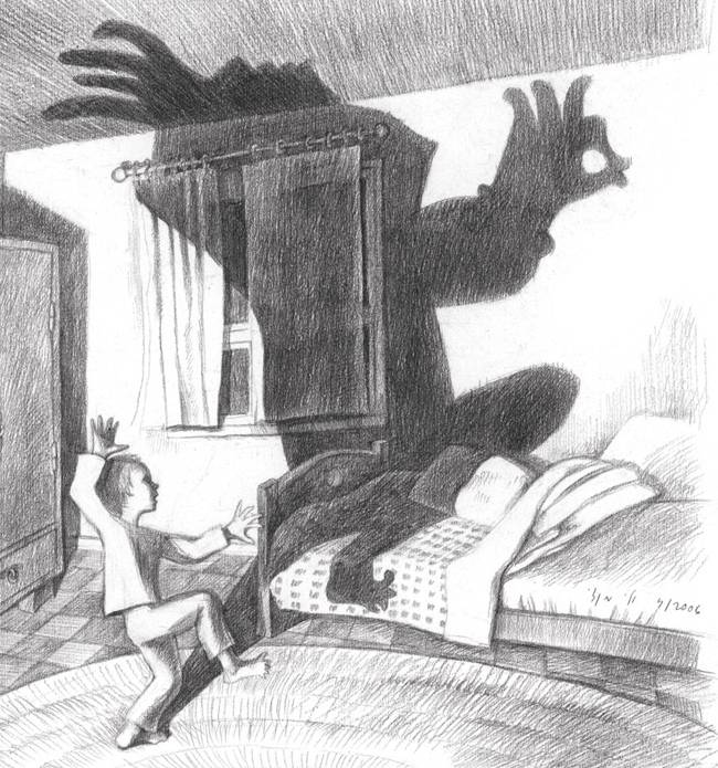 shadow-cover