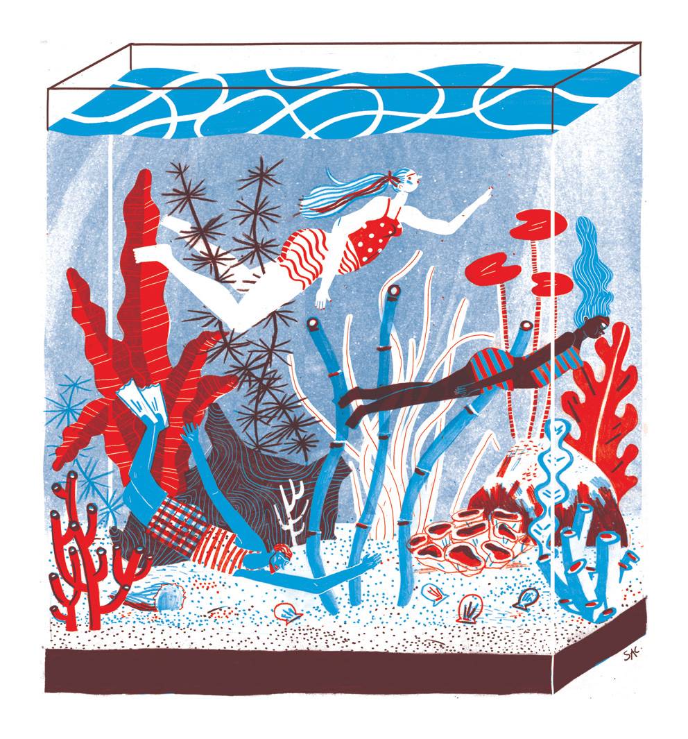maariv-aquarium