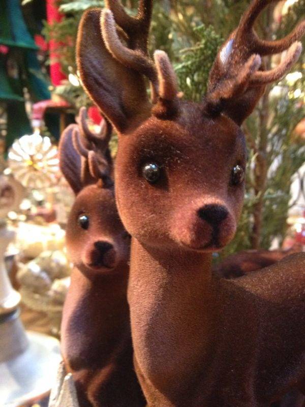photo(54)