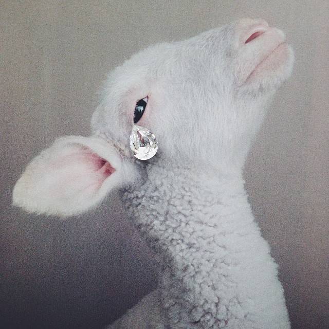 1783e0f065a811e3801312b0fdec1263_8