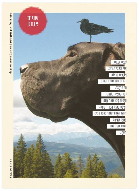adarothenberg_musicpostcard10