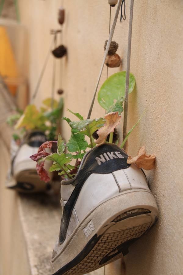 minhaIMG_2687