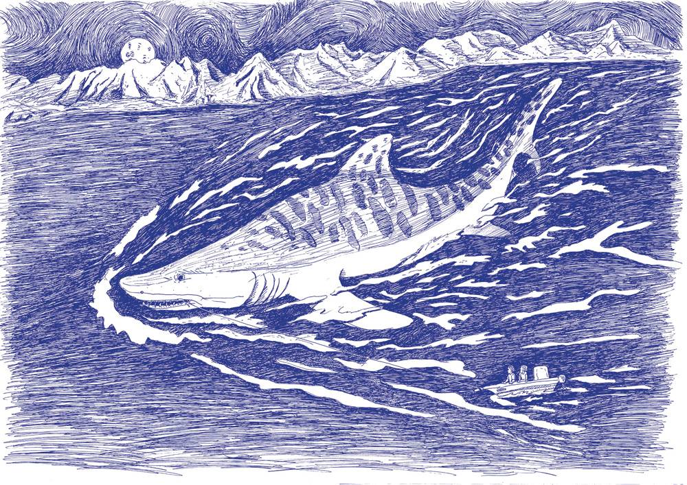 sharkBlue
