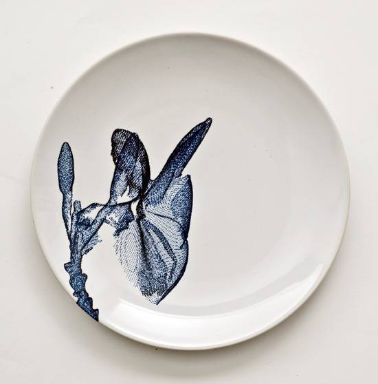 מאיה בן דוד