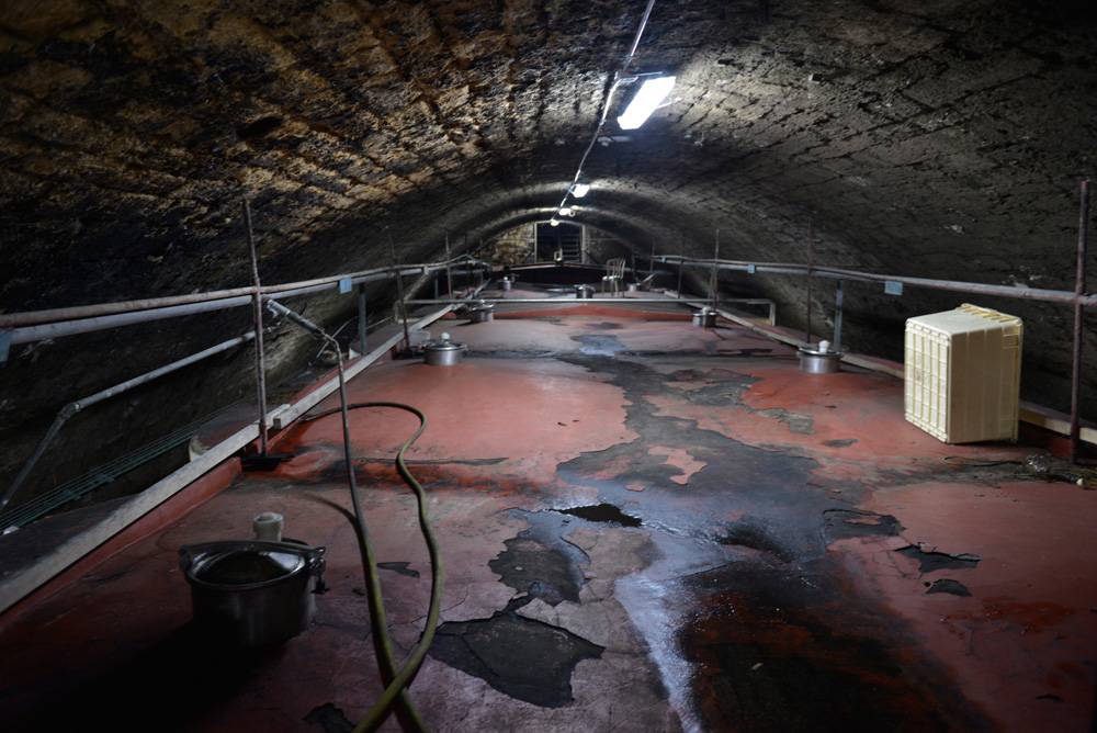 כרמל מזרחי. צילום: דנה אריאלי