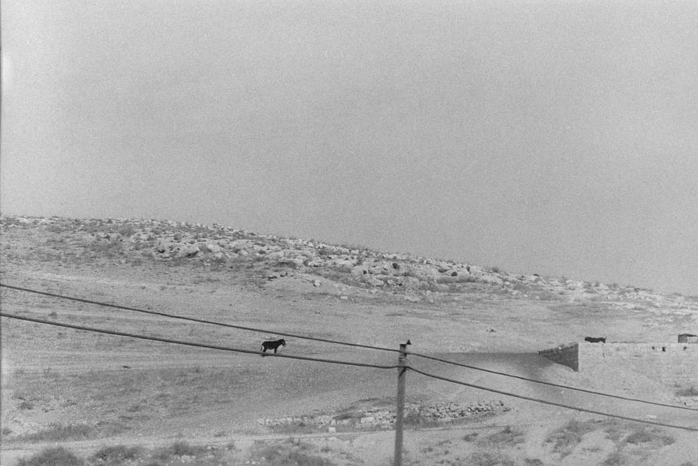 מיכל רובנר, 1980-1982