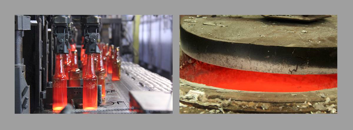 פניציה - תירוש. צילום: יוסי בן ארוש