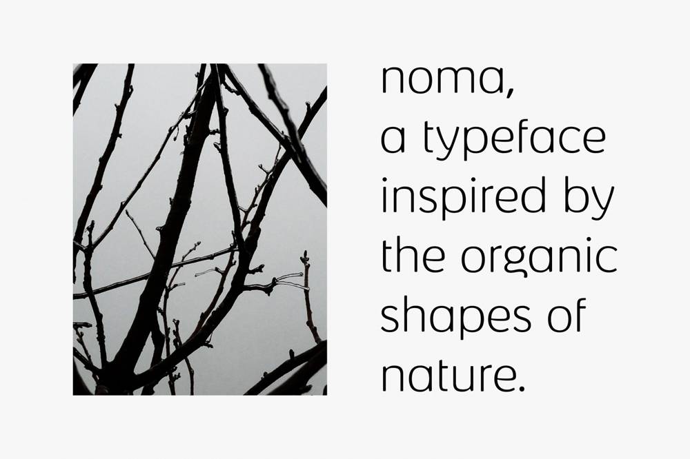 8_noma_01