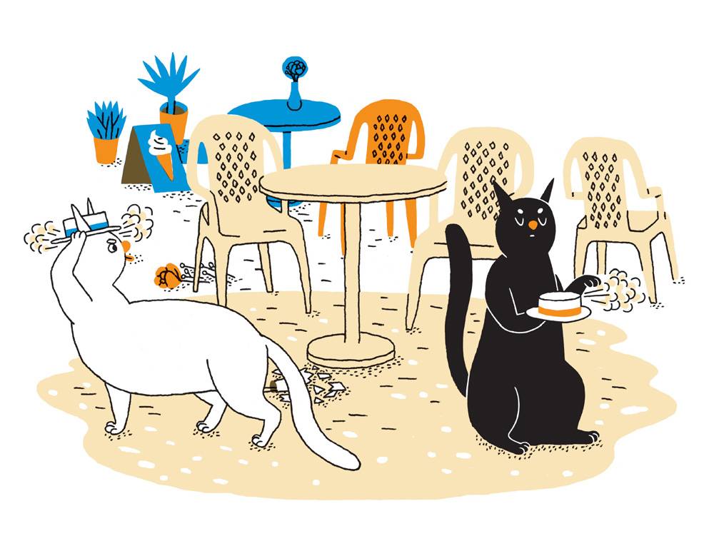 cats_press_Page_10