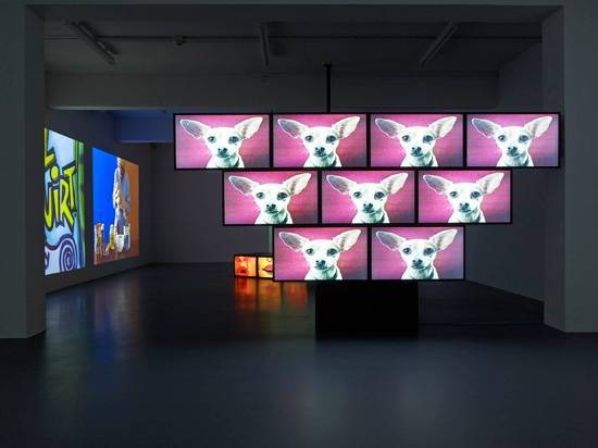 Sturtevant, Elastic Tango, 2010. Photo by Simon Vogel