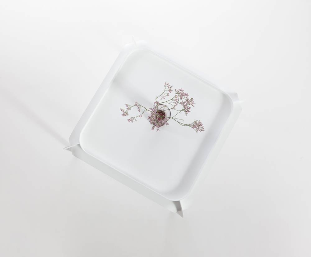 Hafucha_Page_21_Image_0001