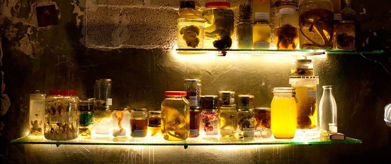 לימור תמיר ויניב עמר, שירותי סיכה ורחצה. צילומים: לי ברבו