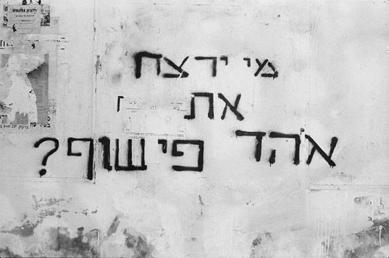 מי ירצח את אוהד פישוף