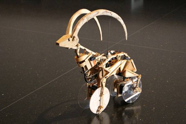 צילום: יאיר מוס