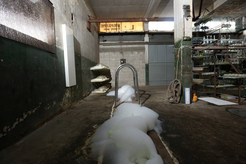 צילום אחיקם בן-יוסף (58)