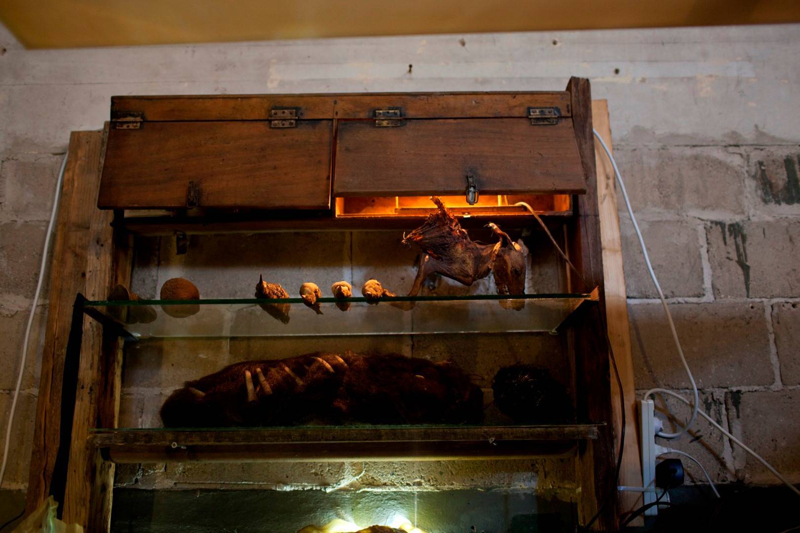 צילום לי ברבו (13)