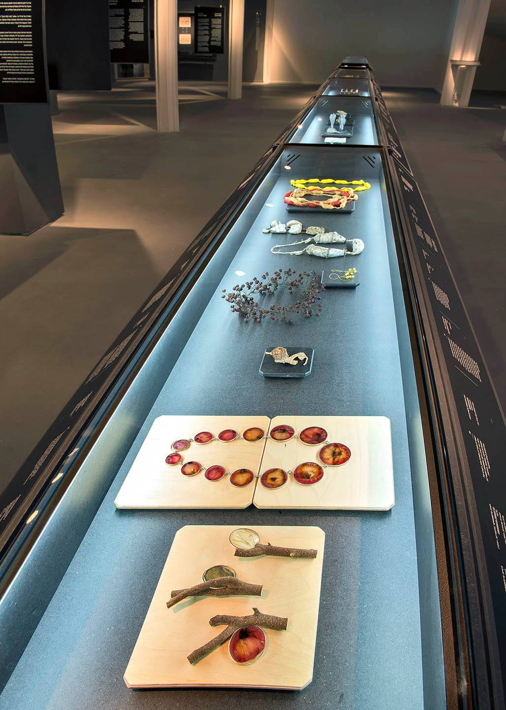 מראה הצבת החלק העכשווי מתוך התערוכה