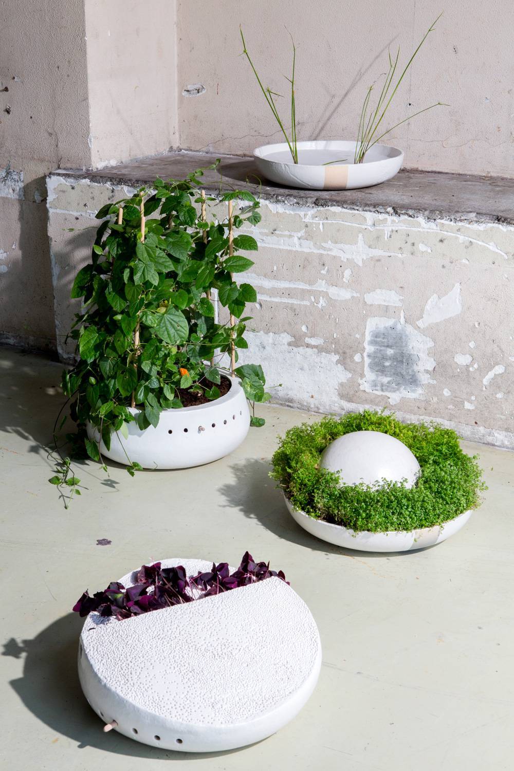 Room To Grow, Karen van der Perre. Image: Mischa Haller