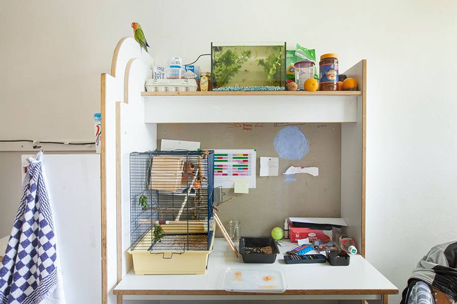 Room2