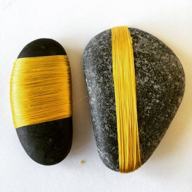 The-Philosopher-Rose-7