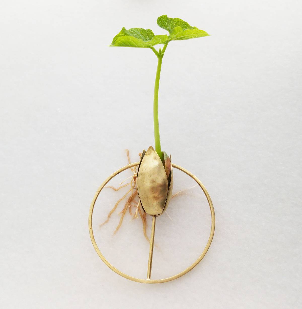 10/12, חמישה ימים לאחר פתיחת התערוכה