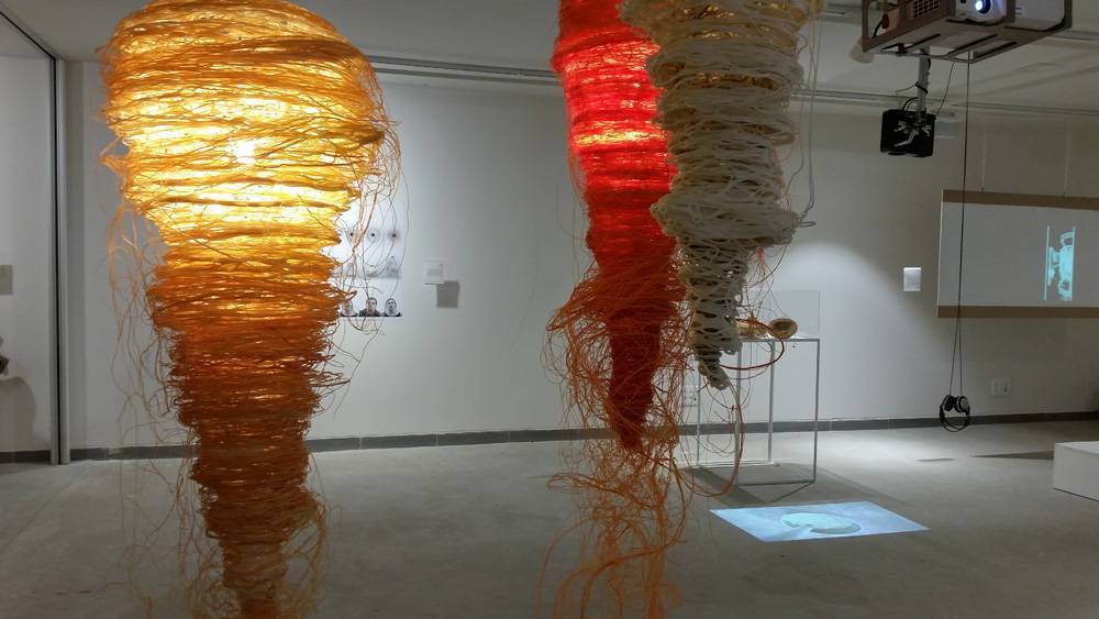 צילום: דנה תמרי