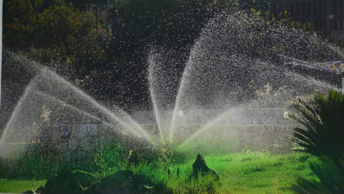 עינת אמיר, Greenwash, מיצב צילומי, 2015-2009