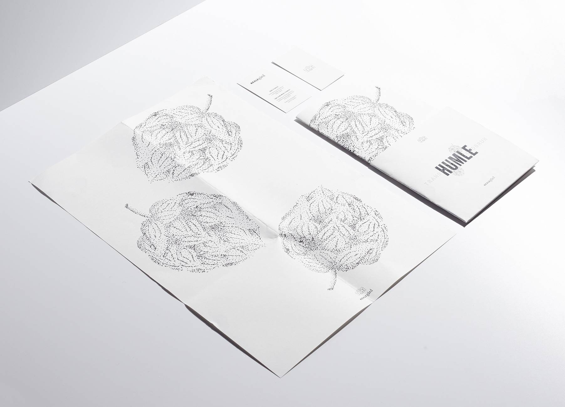Glasyr_Kexlegard_06