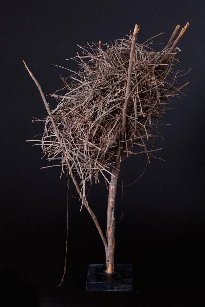 israeli p venice 2016 (3)