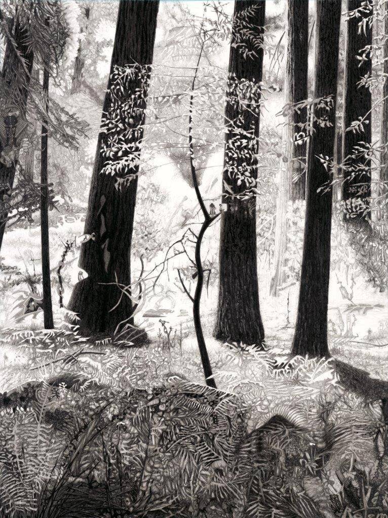 עפר רותם, יער מיור 5 , 2013