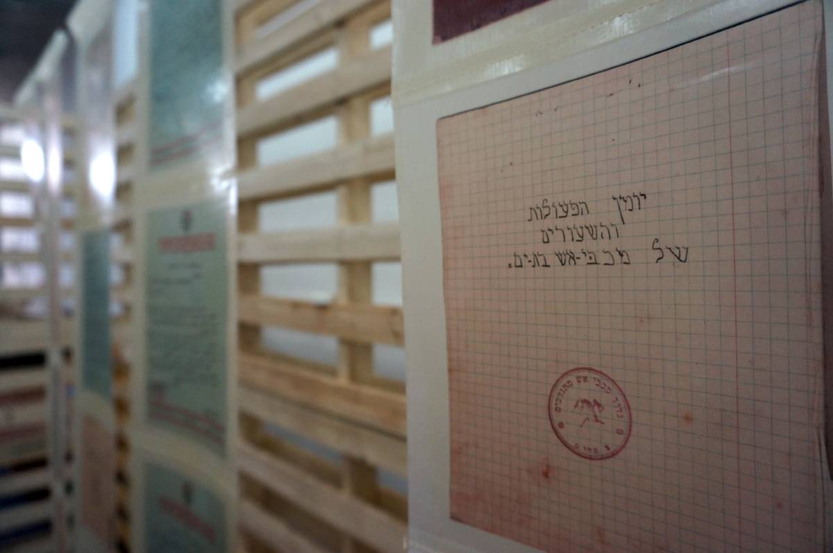 ליאוני שיין 3
