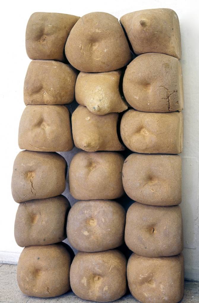 מירי פליישר, 1975