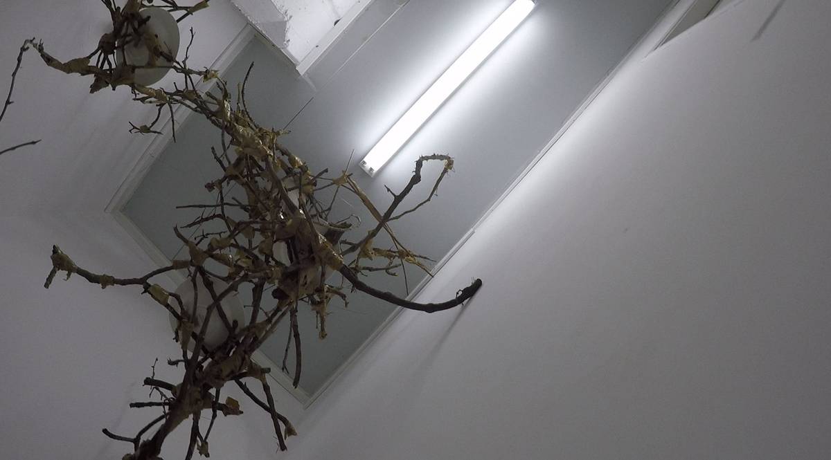 חן צרפתי מתוך פרויקט Dear