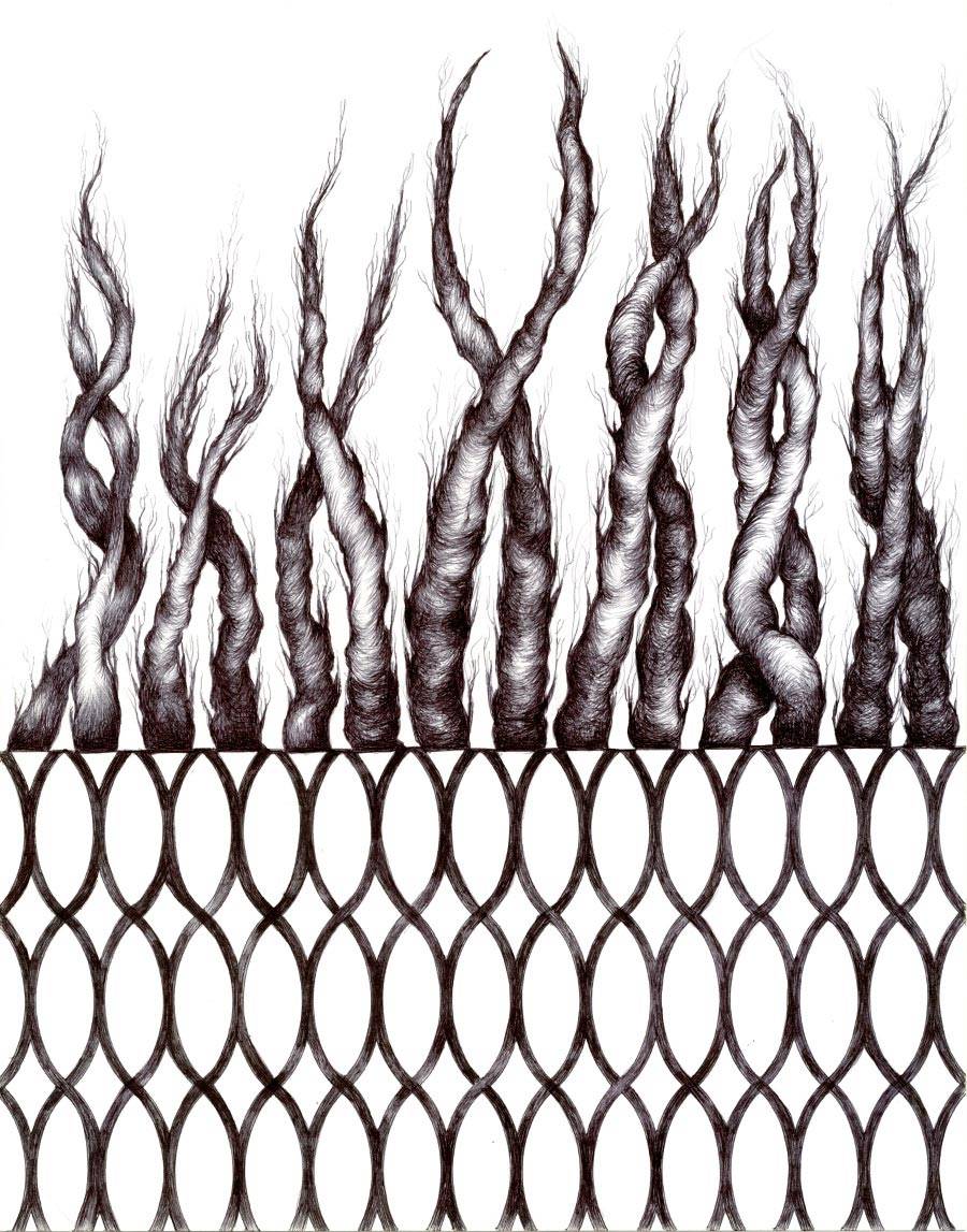 אסתר כהן, בחינת שחרות