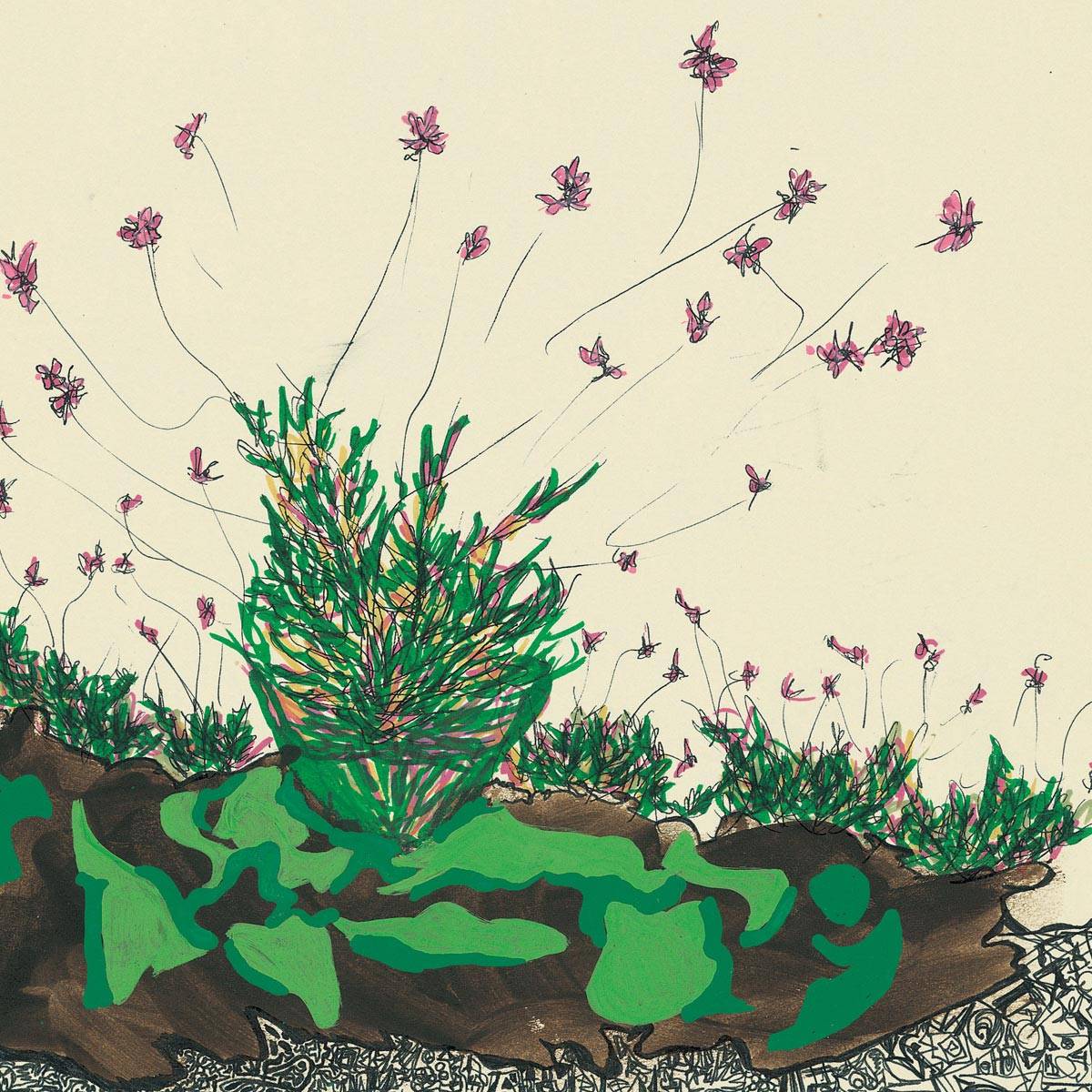 כל הקקטוסים פורחים מאת אלישבע לוי