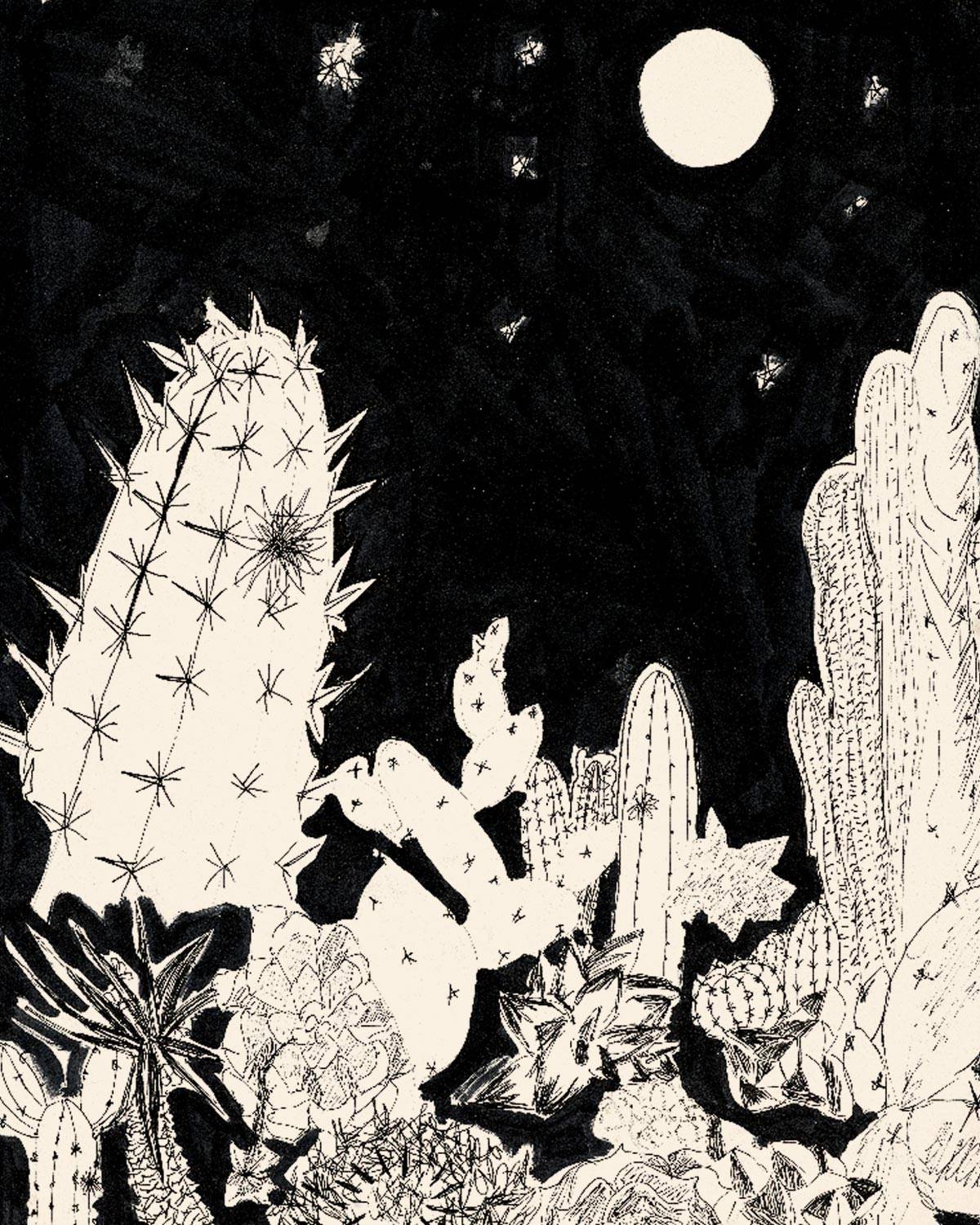 כל הקקטוסים פורחים מאת אלישבע לוי