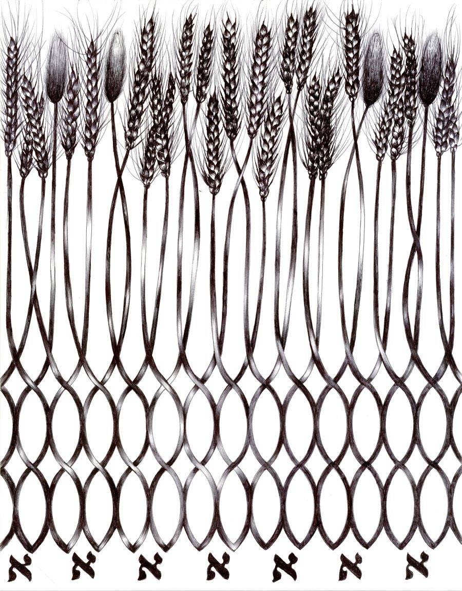 אסתר כהן, בחינת שחרות