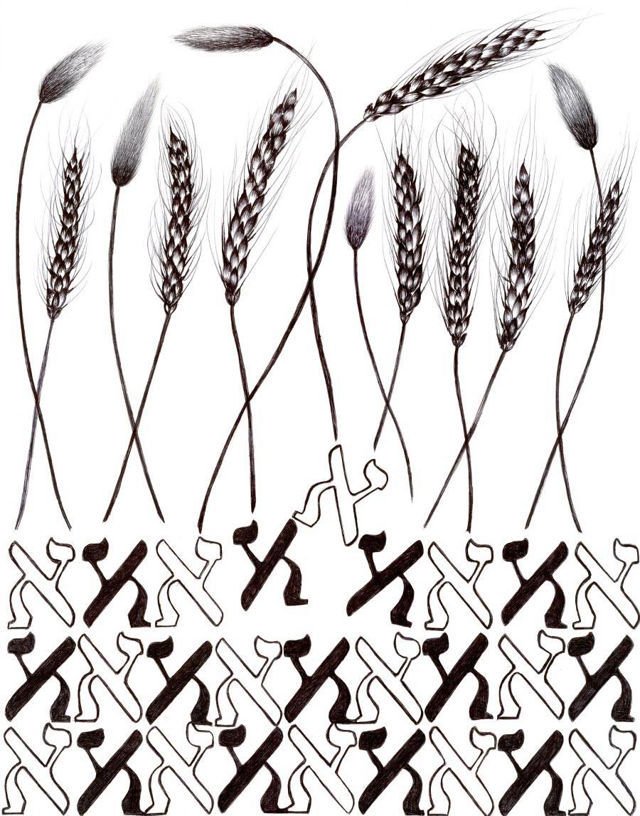 אסתר כהן, בחינת שחרות