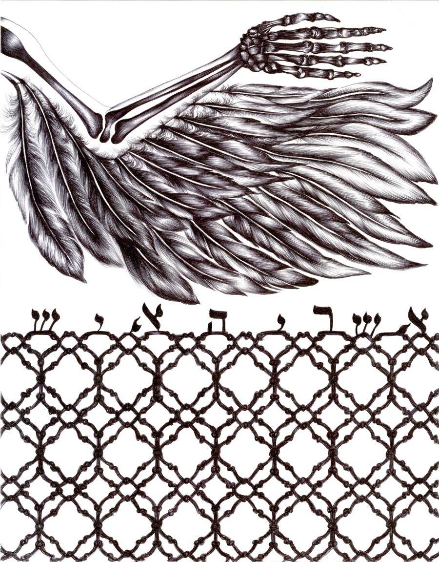 אסתר כהן, בחינת שחרות