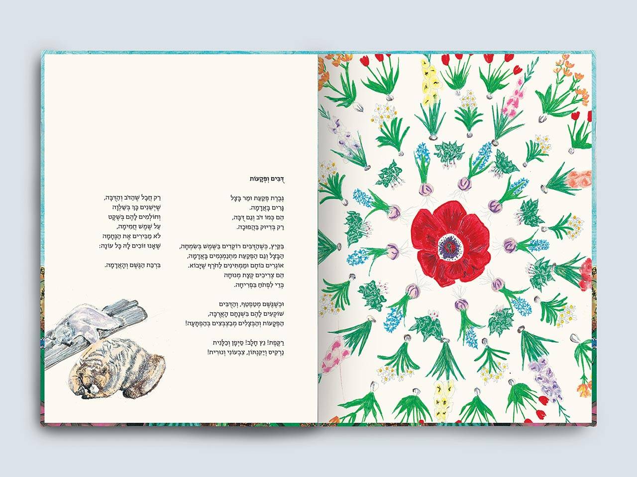 כל הקקטוסים פורחים מאת אלישבע לוי