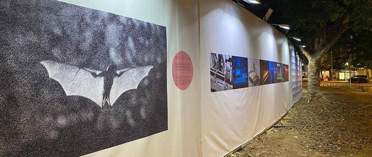 פסטיבל הצילום 2020. צילום: דינה פינברג