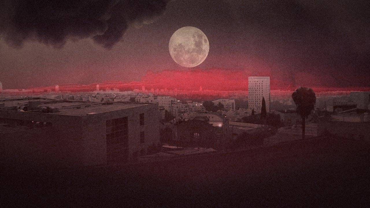 מתוך החרא הזה ממשיך לגדול