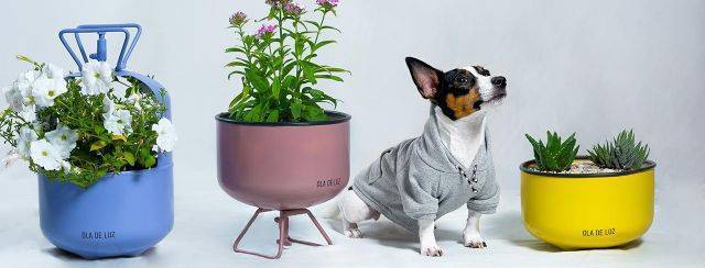 שירה אסולין, TAIL-LORD