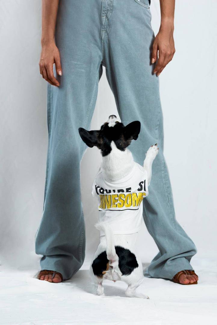 שירה אסולין, TAIL-LORD