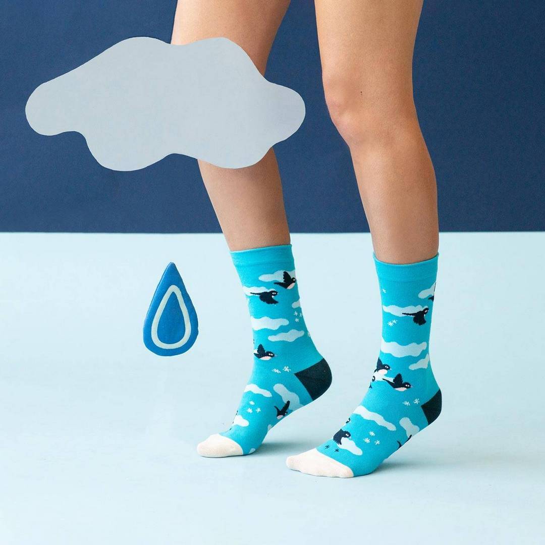 גרבי SOCKSTAZ